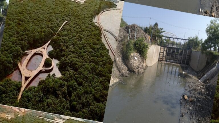 Cienaga de Mallorquín y Arroyo León